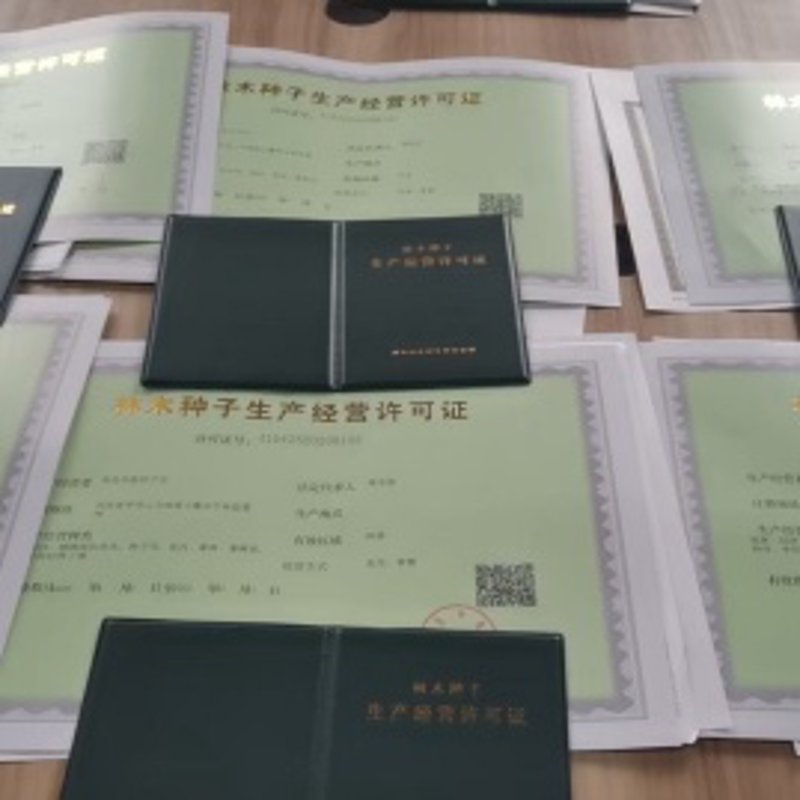 宿迁商贸公司行业观察：电商时代下的变革与机遇