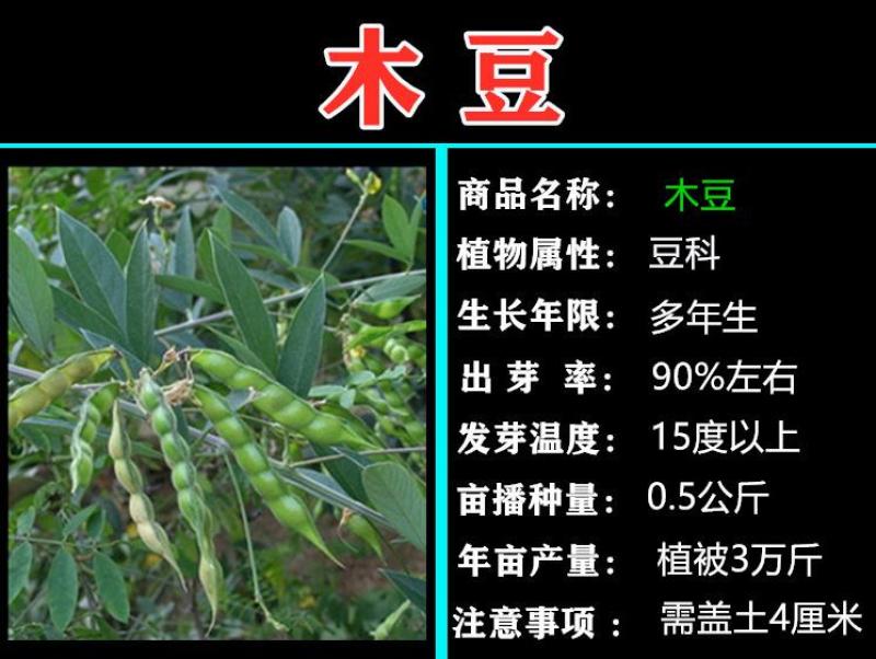 宿迁商品批发市场的最新发展动态