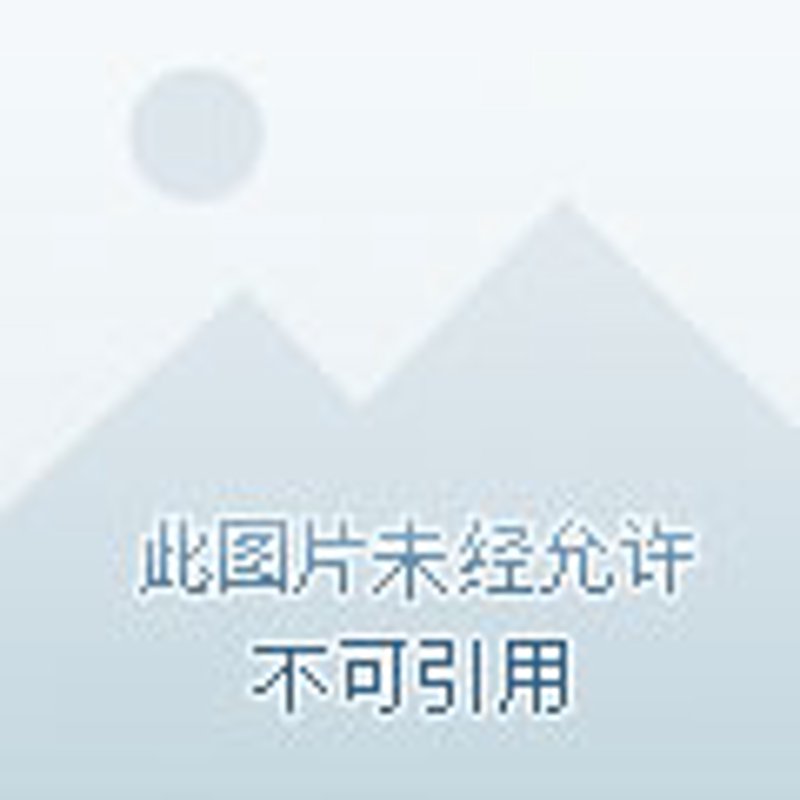 如何选择一家靠谱的宿迁贸易公司